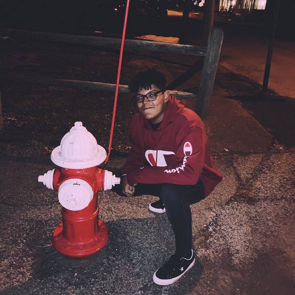 Meet your Posher, Oscar - Picture 1 of 1